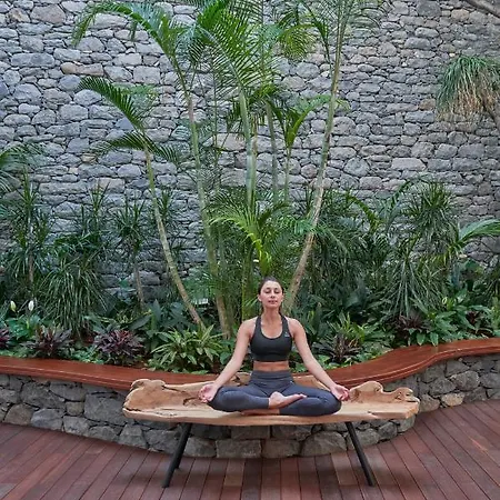 Les At The Cliff Bay - Portobay 5*